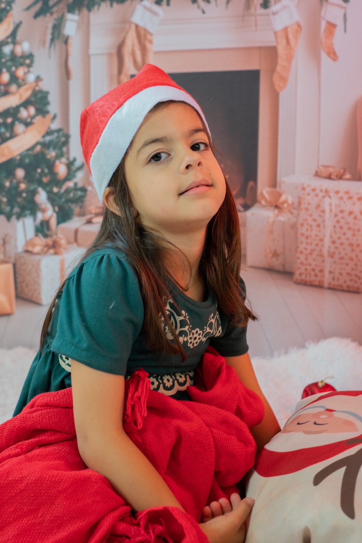 Ensaio temático de Natal - foto 36